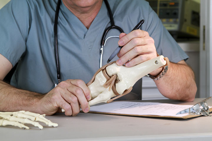 orthopedic doctor