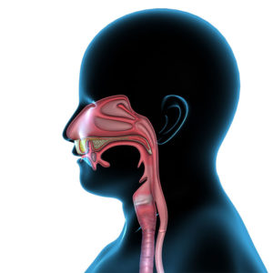 houston otolaryngologists and ENT 