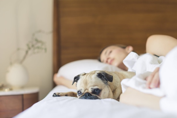 a woman and dog in bed sleeping