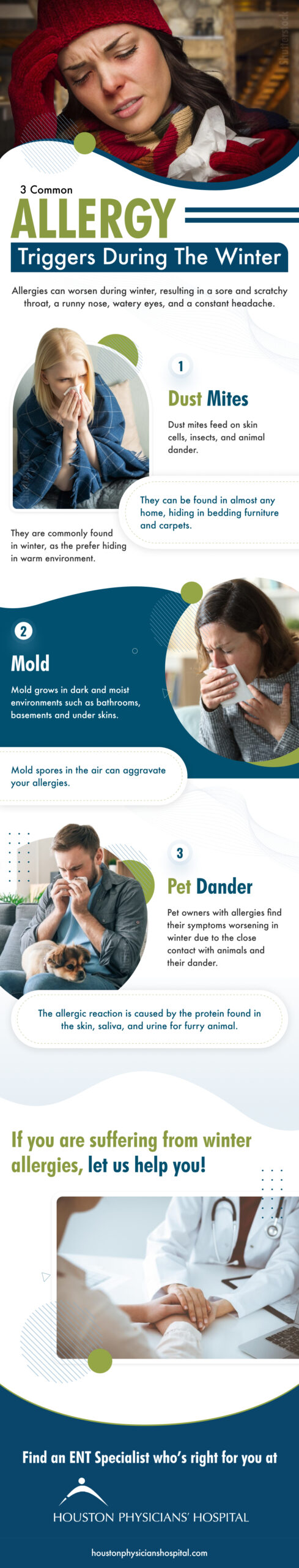 3 Common Allergy Triggers During the Winter Infograph