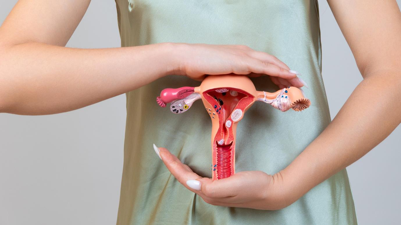 Woman holding a model of the female reproductive system.
