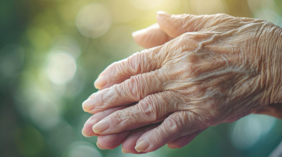 A wrinkled pair of hands belonging to an elderly person.